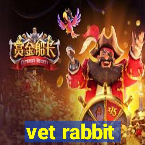 vet rabbit